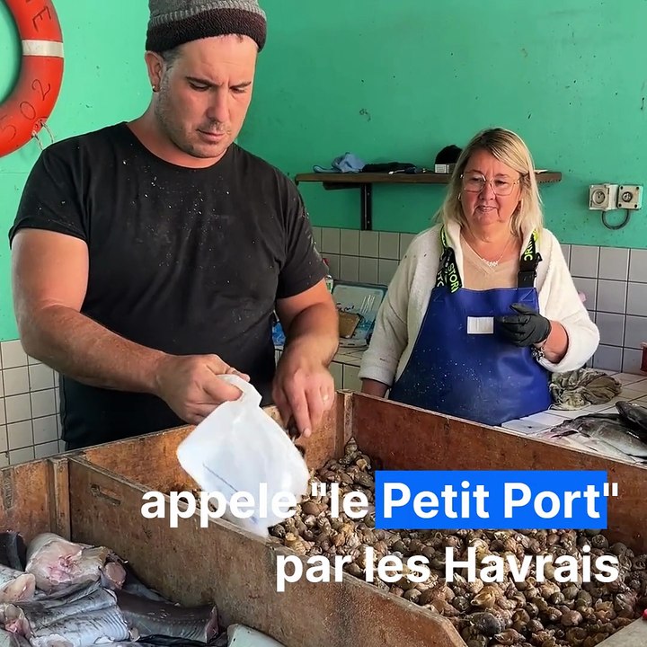 marche-aux-poissons-le-havre carré