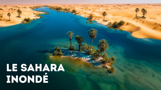 Les découvertes les plus mystérieuses du désert que le monde n'était pas prêt à affronter