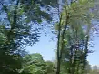 Mega super descente en Skate avec elle