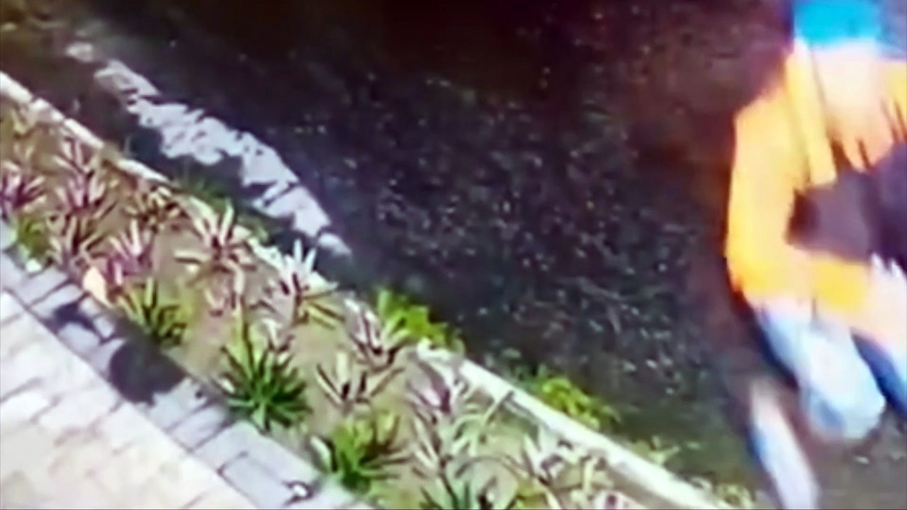 Crime em Piedade: Colombiano é Morto na Porta de Condomínio em Jaboatão de Guararapes - Detalhes da Investigação em Andamento