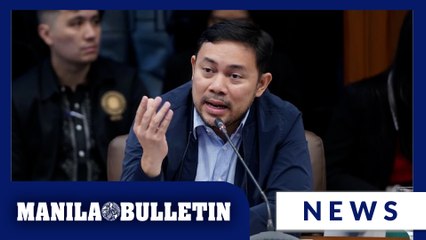 Mark Villar pushes for unified flood control master plan