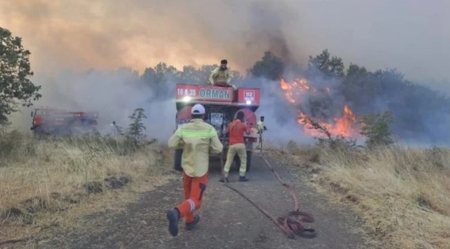 Bursa’da orman yangını: Ekiplerin müdahalesi sürüyor