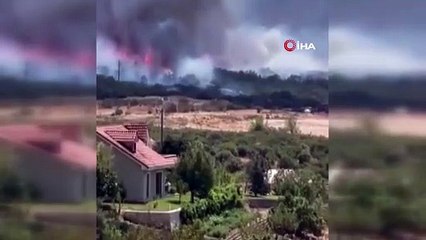 Bursa'da bir orman yangını daha: Rüzgarın etkisiyle büyüdü