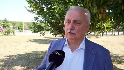 Türkiye'nin maviyle yeşilin buluştuğu cenneti bakın ne oldu!