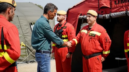 El Gobierno declarará zona de emergencia los territorios afectados por los incendios