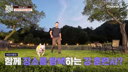 본격 솔루션 시작! 강형욱의 '주도권 인식 훈련'은 성공할 수 있을까?!
