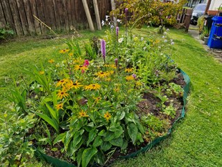 Organic Perennial Garden from scratch in three months in Ireland