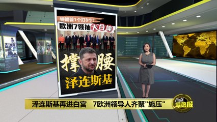 泽连斯基白宫访美：七位欧洲领导人齐聚施压，携手应对乌克兰危机 🇺🇸