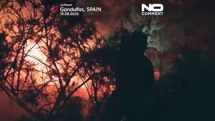 Worst wildfire season in decades burns over 340,000 hectares in Spain