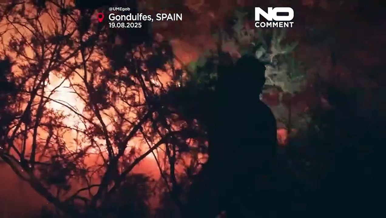 NO COMMENT: La peor temporada de incendios en décadas arrasa más de 340.000 hectáreas en España