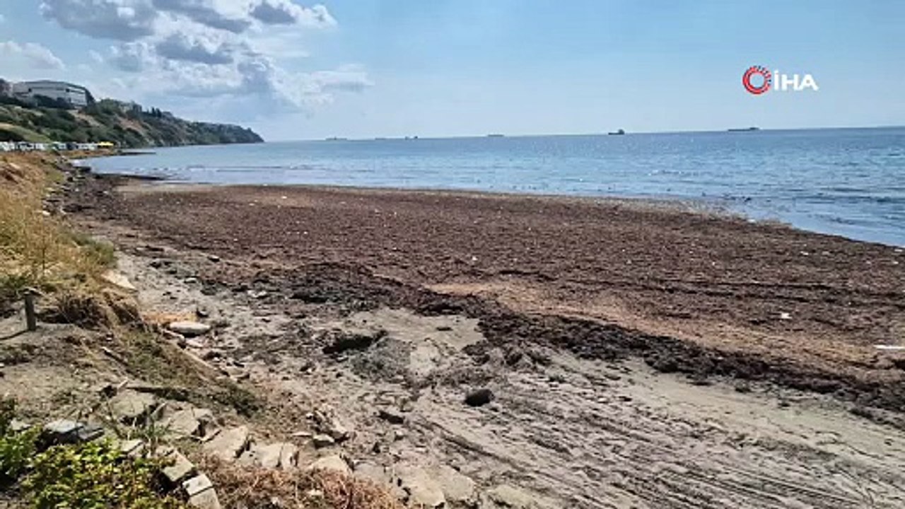 Marmara kıyılarında deniz adeta kara toprak parçasına dönüştü
