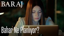 Bahar ne planlıyor? - Baraj