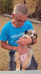 Laurent Jalabert avec un bébé de sa chienne Téha sur Instagram. 19 août 2024.