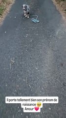 Laurent Jalabert avec un bébé de sa chienne Téha sur Instagram. 19 août 2024.