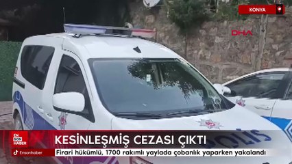 Konya'da firari hükümlü, 1700 rakımlı yaylada çobanlık yaparken yakalandı