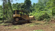 D6R XL Bulldozer Technique Cleans Large Plantations