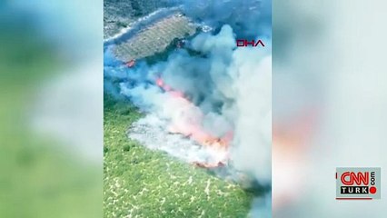 Bursa'da orman yangını: Kontrol altına alındı