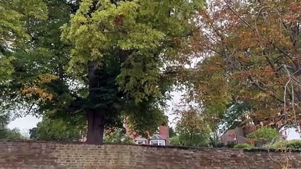 Brailes church row