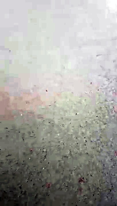 Unboxing and Review of Cute Bear Shape Humidifier Review 🐻 LED Mood Light  Quiet Mist