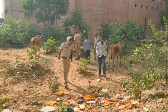 Rajasthan: राजस्थान में तार-तार हुई मां की ममता, जुड़वा नवजात बच्चों के भ्रूण जमीन में गाड़े, इलाके में सनसनी