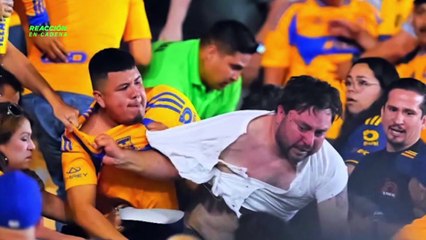 Reacción en cadena - lunes 18 de agosto 2025