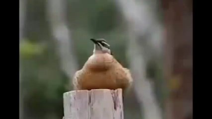 Thank you lord 🙏🙏🙏