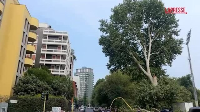 Milano, crolla un ramo su un'auto in transito: paura all'Arco della Pace