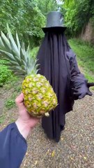 Mon chien a disparu (1)