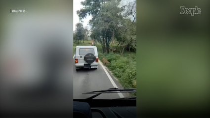 12-Year-Old Boy Left with 'Deep Gashes' After Being Mauled by Leopard During Jeep Safari