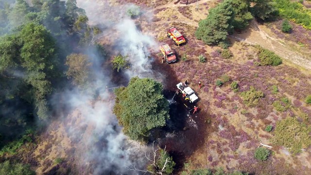 Watch as firefighters tackle a wildfire at Churt Common that was started by a campfire and has affected three hectares of land, video by Surrey Fire and Rescue Service