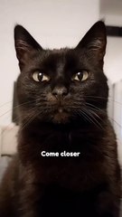 Try this on your bestie_🤣