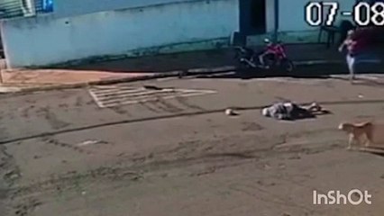 VIDEO: Abuelito está grave tras insólito accidente con un perro en Brasil