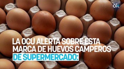 La OCU alerta sobre esta marca de huevos camperos de supermercado: es la peor y tienes que dejar de comprarla