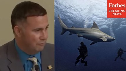 Darren Soto Discusses Shark Feeding And Wildlife Protection
