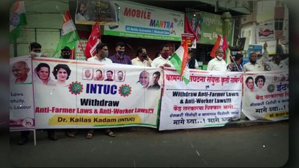 ELEPHANT MADHURI MAHADEVI RESCUE | माधुरी महादेवी: एक हथिनी की कहानी, एक राष्ट्र की चेतावनी"