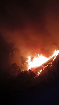 Bomberos de Valladolid tratan de sofocar el incendio iniciado en Arnado en León