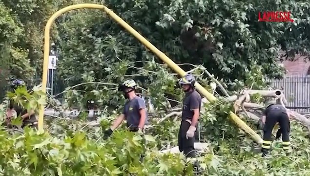 Milano, crolla ramo su un'auto in transito: paura in via Canonica