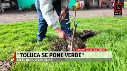 Toluca "se pone verde": siembran más de 4 mil árboles en el Bordo San Elías