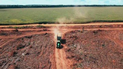 APRESENTAÇÃO - LIGNUM
