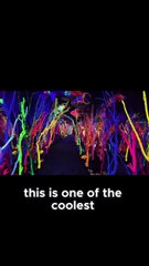 Step Inside Meow Wolf  The Most Mind-Blowing Destination