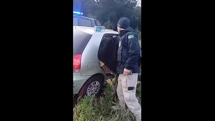Motorista foge da PRF e abandona carro com 12 mil maços de cigarro contrabandeado na BR-282