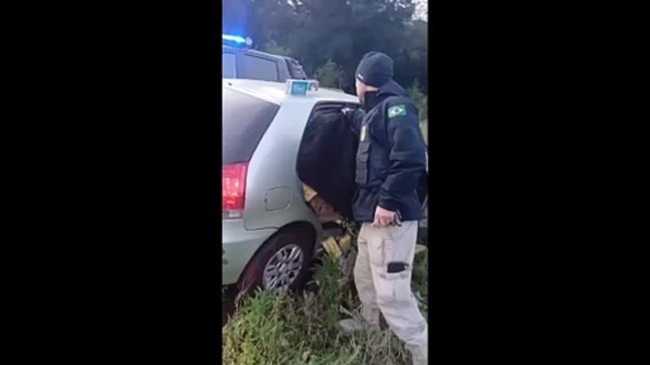 Motorista foge da PRF e abandona carro com 12 mil maços de cigarro contrabandeado na BR-282