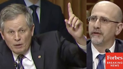 'They're Saying It's For Peaceful Purposes...': Daines Asks Fmr. Ambassador About Iran Space Program