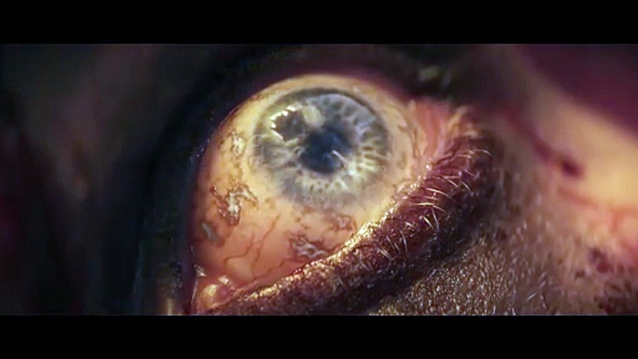 Lords of the Fallen II - Trailer d'annonce