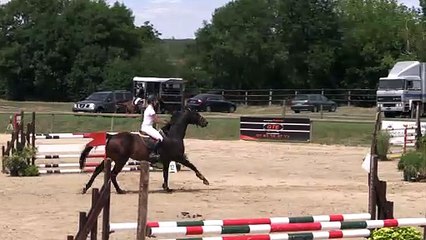 ILE BRAGARD 29-07-2017 Amateur 2 Vitesse (1,10 m)18