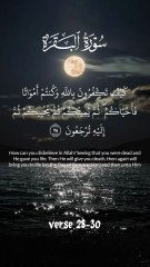 surah baqrah verse 28-30 #surah #duet #baqrah #recitation #alquran #love #shorts
