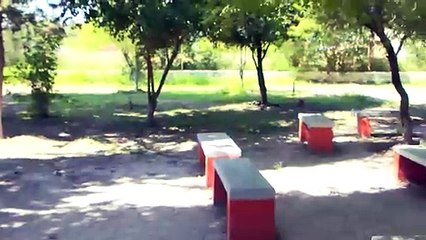 Trabaja el Ayuntamiento de Nadadores hacer limpieza y rehabilitación en las escuelas