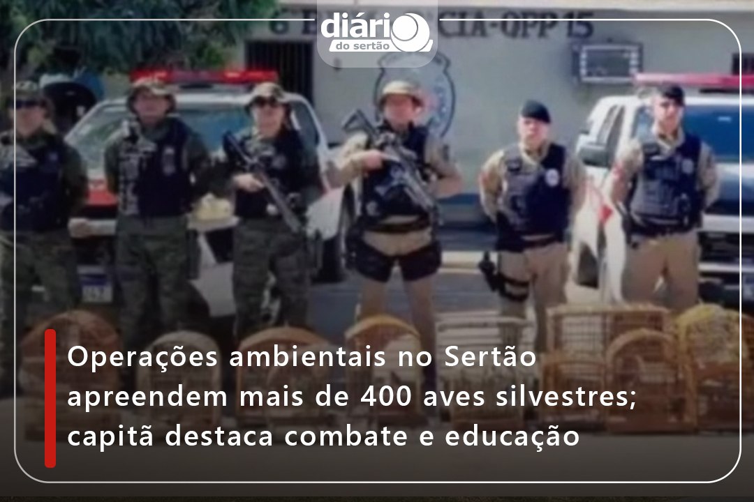 Operações ambientais no Sertão apreendem mais de 400 aves silvestres; capitã destaca combate e educação