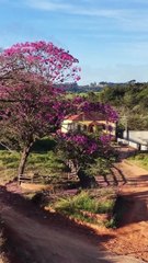 Um lindo Lugar na beira da estrada