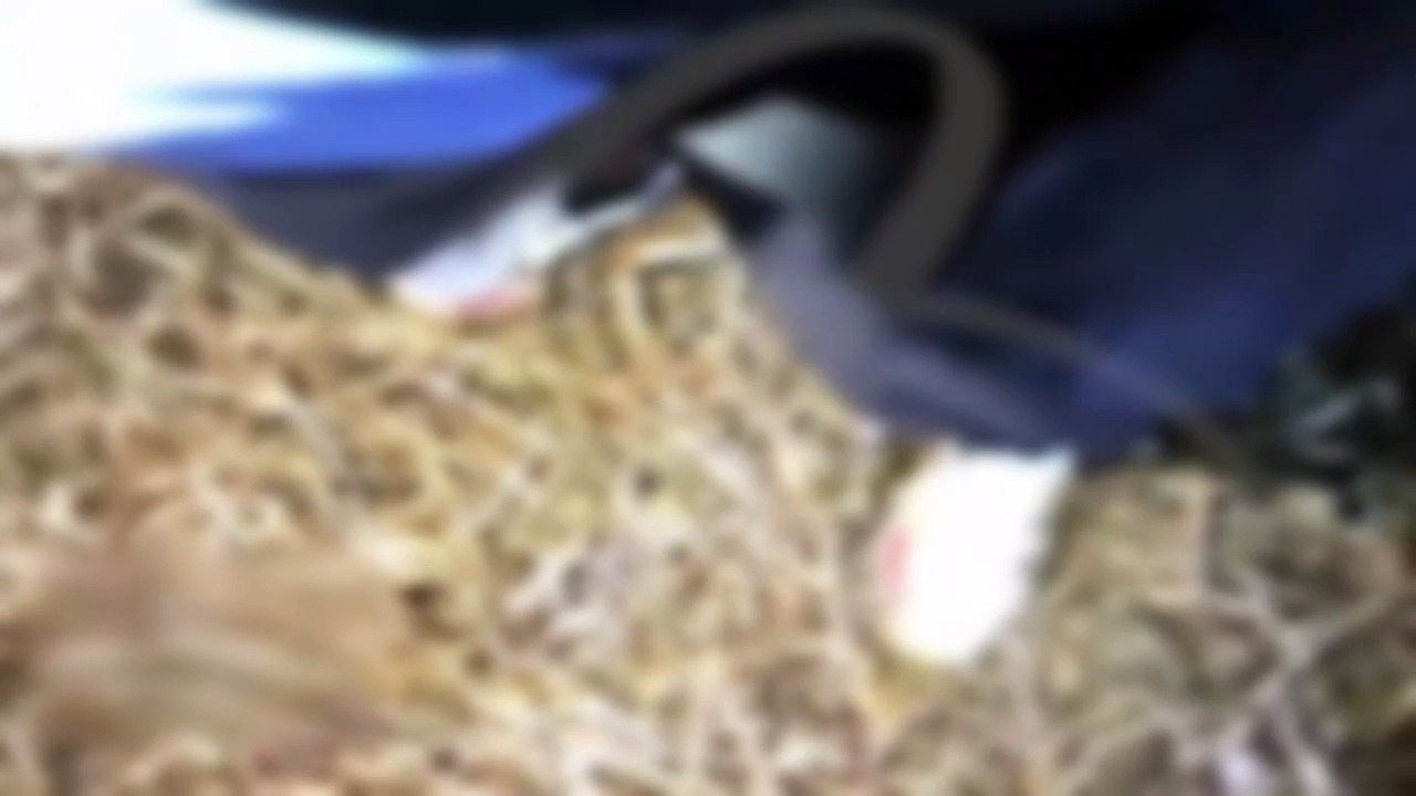 Vídeo mostra abordagem de PM que terminou com ato s3xual no capô da viatura